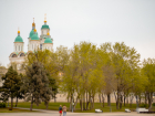 Зелено и свежо: в Астрахани хотят сделать воздух чище