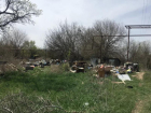 Россельхознадзор проследил за устранением 27 свалок в Астраханской области
