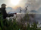 Прокуратура выяснит причину пожара вблизи дачных домов под Астраханью