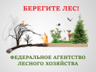 В Астраханской области до 20 июня продлили ограничение на посещение лесов
