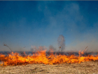 В Астраханской области 12 и 13 сентября сохраняется высокая пожароопасность