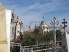 В Астрахани предложили благоустроить кладбище на Софьи Перовской