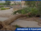 Поваленное дерево возле дома на Софьи Перовской в Астрахани не могут убрать уже неделю