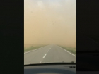 В приграничном с Астраханской областью регионе засекли пыльную бурю 