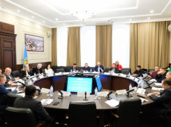 В облдуме обсудили будущее промышленного рыболовства Астраханской области