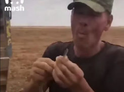 Астраханец умер после фокуса с заглатыванием змеи