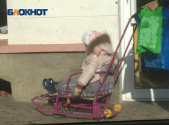 Фото дня: очень астраханские санки