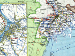 В Астраханской области составили карты дикорастущей конопли 