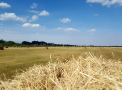 Под Астраханью незаконно арендовали земли федеральной собственности