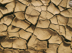+32 и засуха: астраханцы в селе Капустин Яр две недели сидят без воды