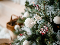 Новому году быть! Вместе с «Блокнотом-Астрахань»