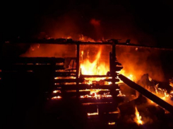 В Астрахани спалили три заброшенных дома