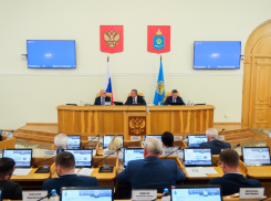 Инициативу астраханских депутатов по защите детей оценили федеральные ведомства