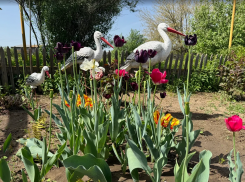 Погода, праздники, именины во вторник 21 мая