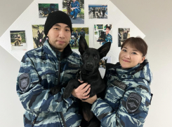 Четвероногие новобранцы с Урала прибыли служить в астраханский центр кинологической службы