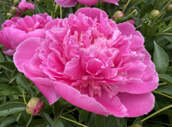 Погода, праздники, именины в воскресенье 19 мая