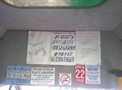 В Астрахани водитель маршрутки организовал бесплатный проезд