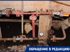 Жители многоэтажки по улице 11 Красной Армии: «Плесень доходит до пятого этажа»