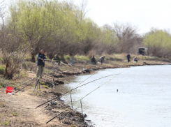 Количество нарушений среди астраханских рыбаков сократилось на 36%
