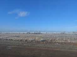 В Астраханской области запретят добывать популярное быстрое животное