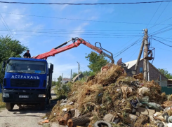 В Астрахани за лето выросло больше тысячи стихийных свалок