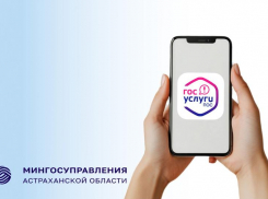 Астраханцы получили в электронной форме почти 90% госуслуг
