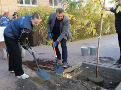 Глава Астрахани вместе с чиновниками занялся озеленением Володарской улицы
