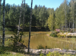 Скоро астраханцам позволят отстреливать болотно-луговую дичь