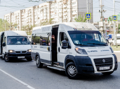 Власти Астрахани призвали перевозчиков вывести на линию максимальное количество автобусов 