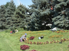 В Астрахани на площади Ленина привели в порядок цветники