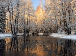 В Астрахани в четверг будет пасмурно и холодно: прогноз на 15 декабря