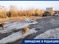 В Астрахани въезд на территорию полутора десятков предприятий затоплен канализационными отходами