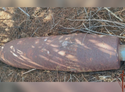 В астраханском селе пастух обнаружил взрывоопасный снаряд времен войны