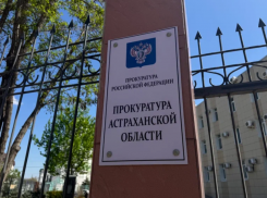 Астраханца оставили без автомобиля и приговорили к работам из-за редкой находки