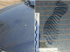 Пьяные астраханцы устроили забег по чужой машине