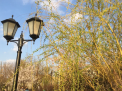 Теплая зима приведет к нашествию опасных вредителей в Астраханской области