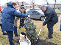 Игорь Бабушкин и Мария Пермякова высадили деревья в сквере Коновалова