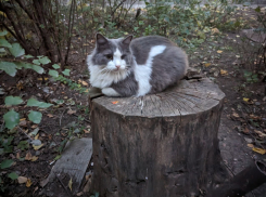 Погода, праздники, именины в среду 25 октября 