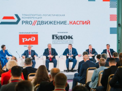 Перспективы развития перевозок по МТК «Север-Юг» обсудили в Астрахани