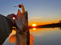 Погода, праздники, именины в среду 15 ноября