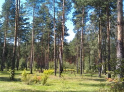 Астраханцев попросили уведомлять МЧС о своих вылазках на природу