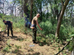 Астраханская полиция возбудила 49 дел о незаконном обороте наркотиков