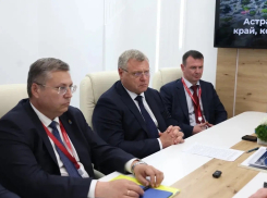 Игорь Бабушкин обсудил на федеральном уровне развитие транспортной сети Астраханской области