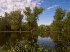 В Астраханскую область снизят сброс воды: когда и насколько