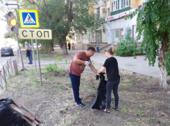Дни чистоты в районах Астрахани будут проводить до осени