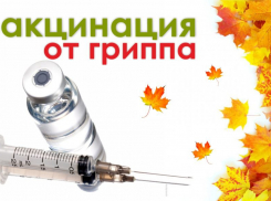 Астраханцы могут сделать вакцину от гриппа в мобильных пунктах 