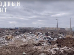 Общественники нашли в Астрахани свалку, которую видно из космоса