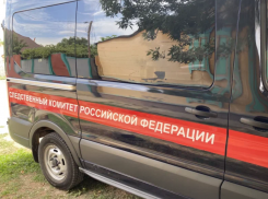 Астраханца приговорили к работам за опрокидывание инспектора Россельхознадзора