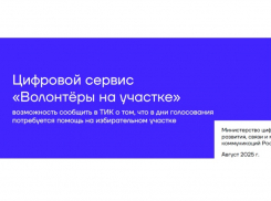В Астрахани на выборах будут работать волонтеры: для чего они и как к ним обратиться