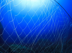 Астраханские пограничники изъяли около 40 километров браконьерских сетей